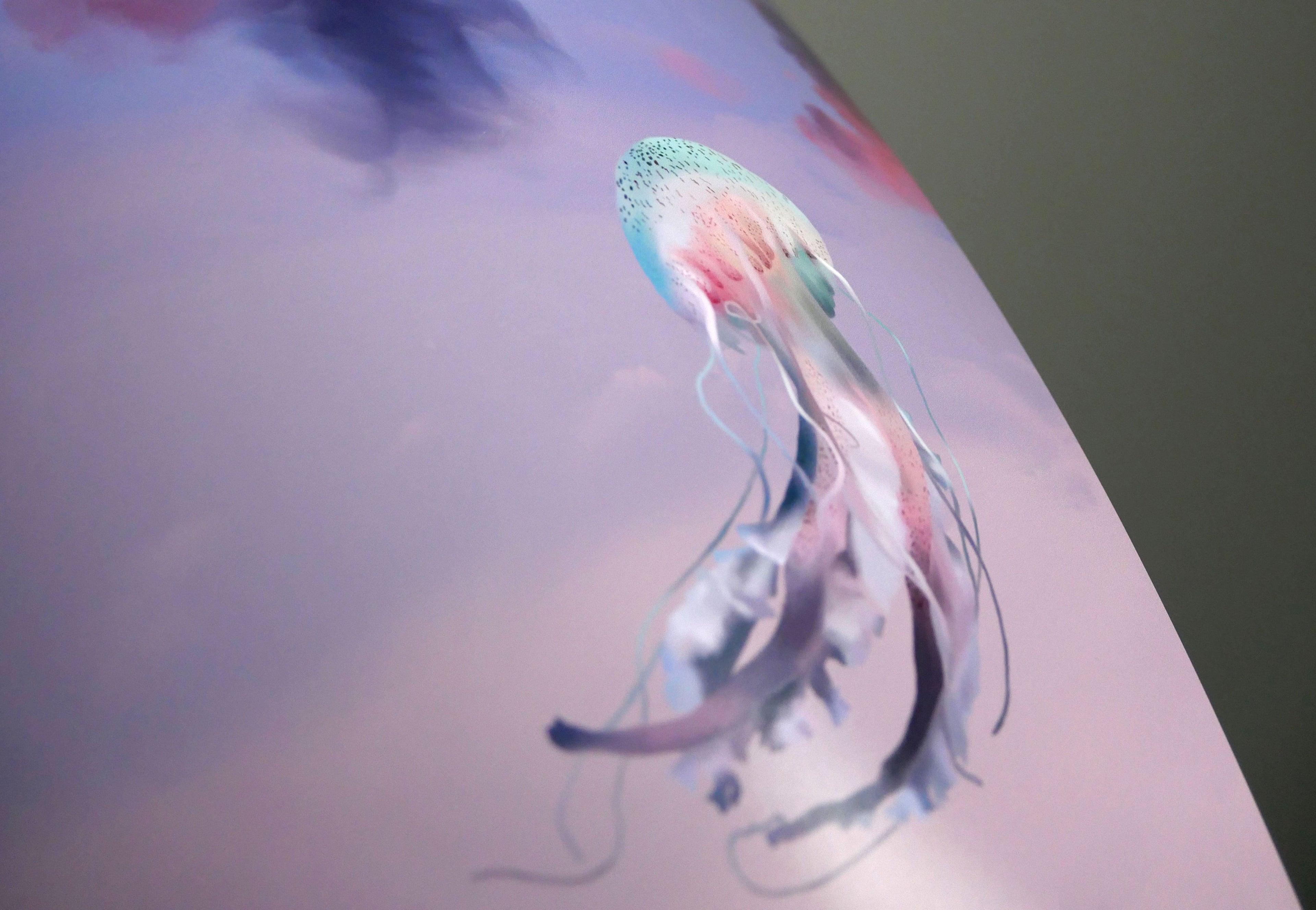 Illustrations