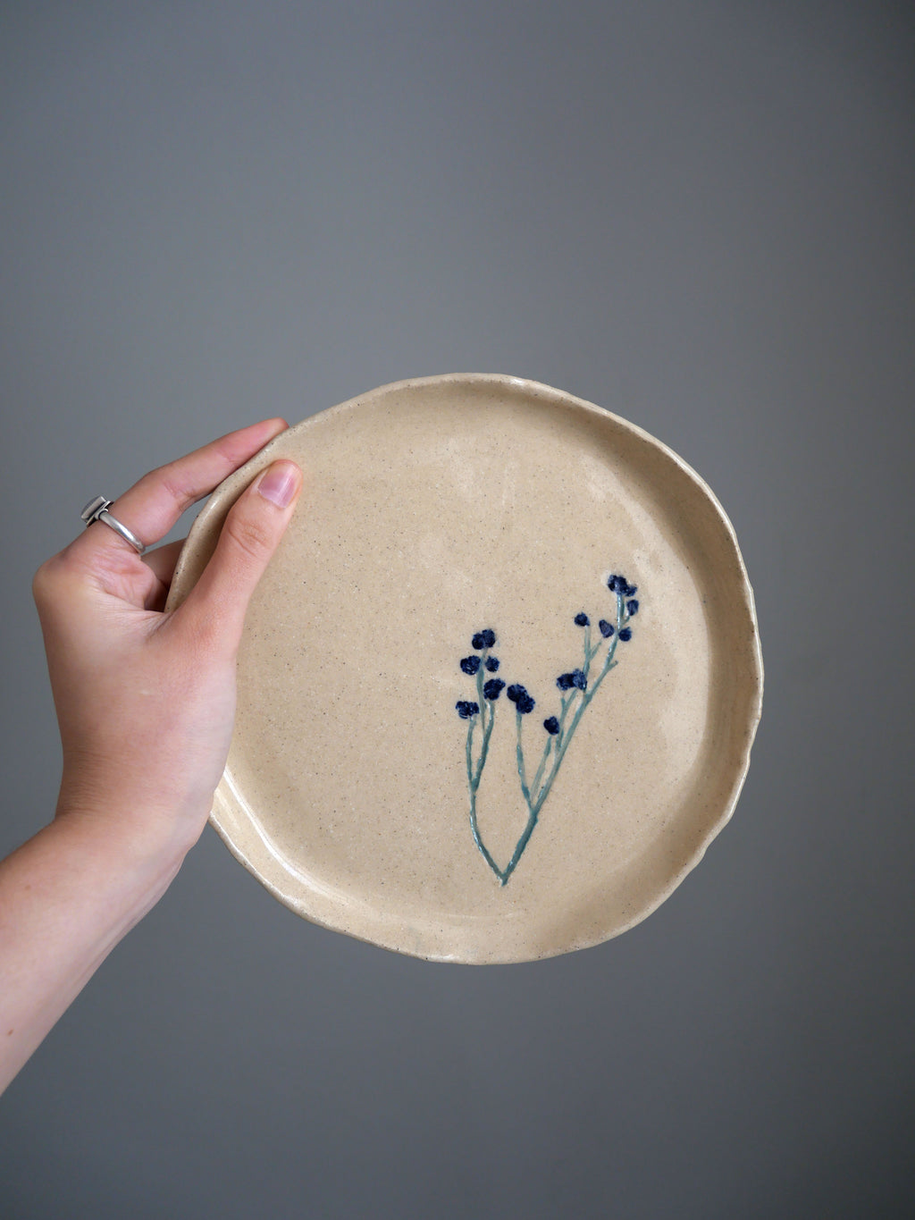 Assiette Herbier